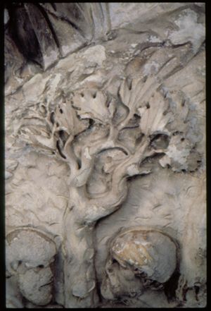 PR205_1_15_06