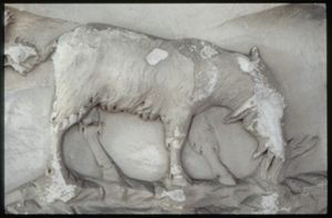 PR205_1_15_11