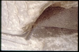 PR205_1_16_13