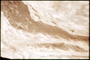 PR205_1_16_15
