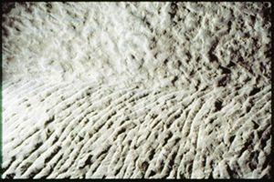 PR205_1_16_18