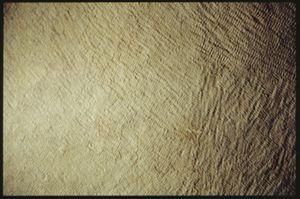 PR205_1_16_19