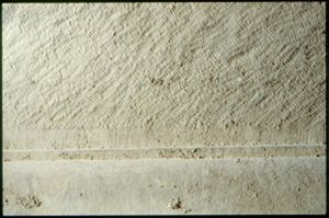 PR205_1_16_20