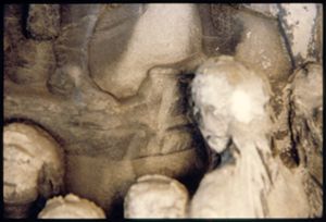 PR208_01_20