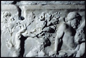 PR222_01_18