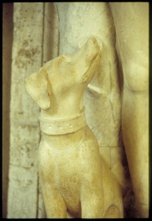 PR222_05_20