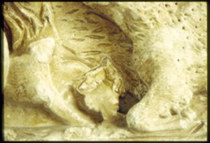 PR222_07_10