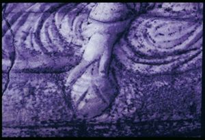 PR223_02_02