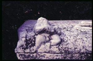 PR223_02_04