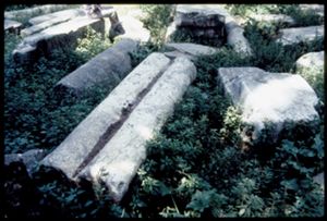PR223_02_08