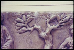 PR223_03_11