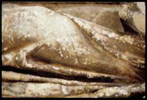 PR225_02_04