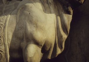 PR225_02_16
