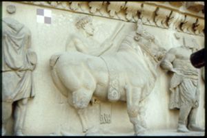 PR225_02_17
