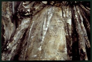 PR225_03_06