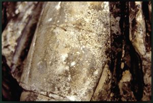 PR225_03_07