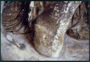 PR225_03_09