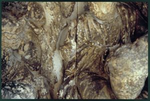 PR225_03_12