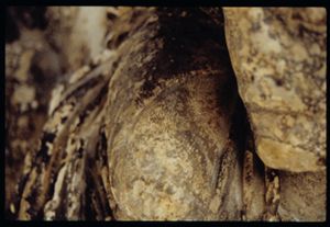 PR225_03_15
