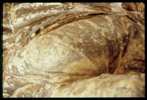 PR225_03_16
