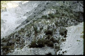 PR228_01_02