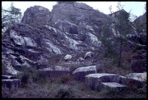 PR228_01_05