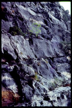 PR228_01_10