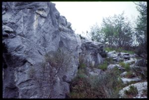 PR228_01_11