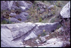 PR228_01_16