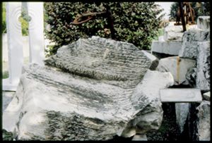 PR228_02_01