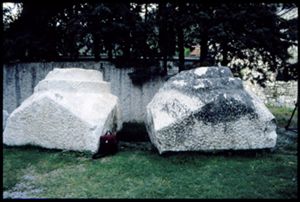PR228_02_10