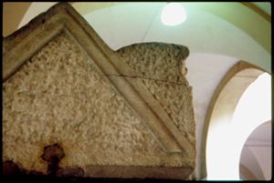 PR239_01_11