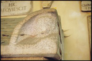 PR239_01_13