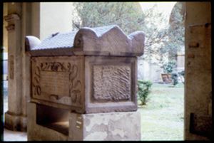 PR239_01_22