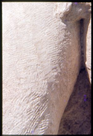 PR301_01_15