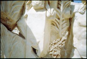 PR301_02_24