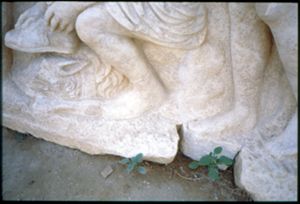 PR301_03_24