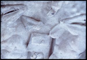PR303_01_12