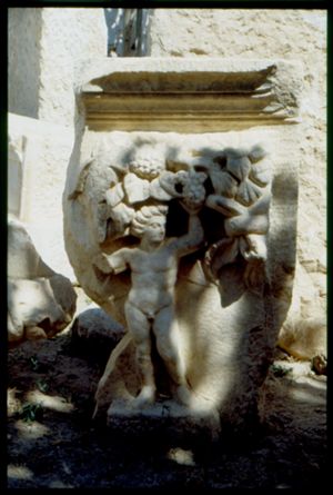 PR303_01_21