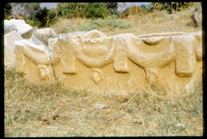 PR305_01_24