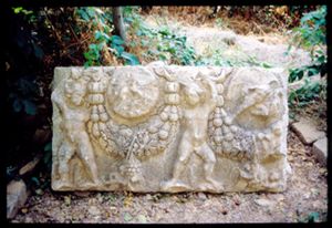 PR305_02_22