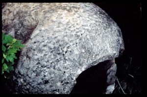 PR306_01_07