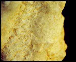 PR307_01_19