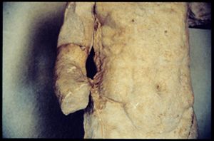 PR307_01_24