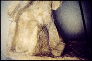 PR307_02_02