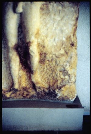 PR307_02_09