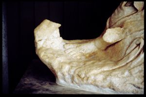 PR307_02_13