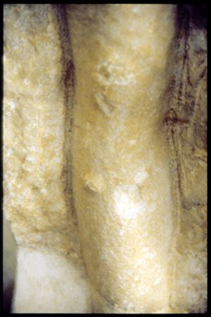 PR307_02_21
