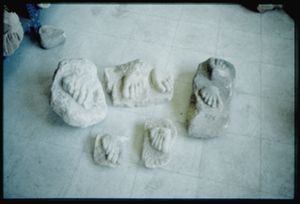 PR308_05_19