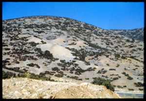 PR309_01_19